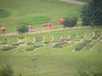  jardin botanique